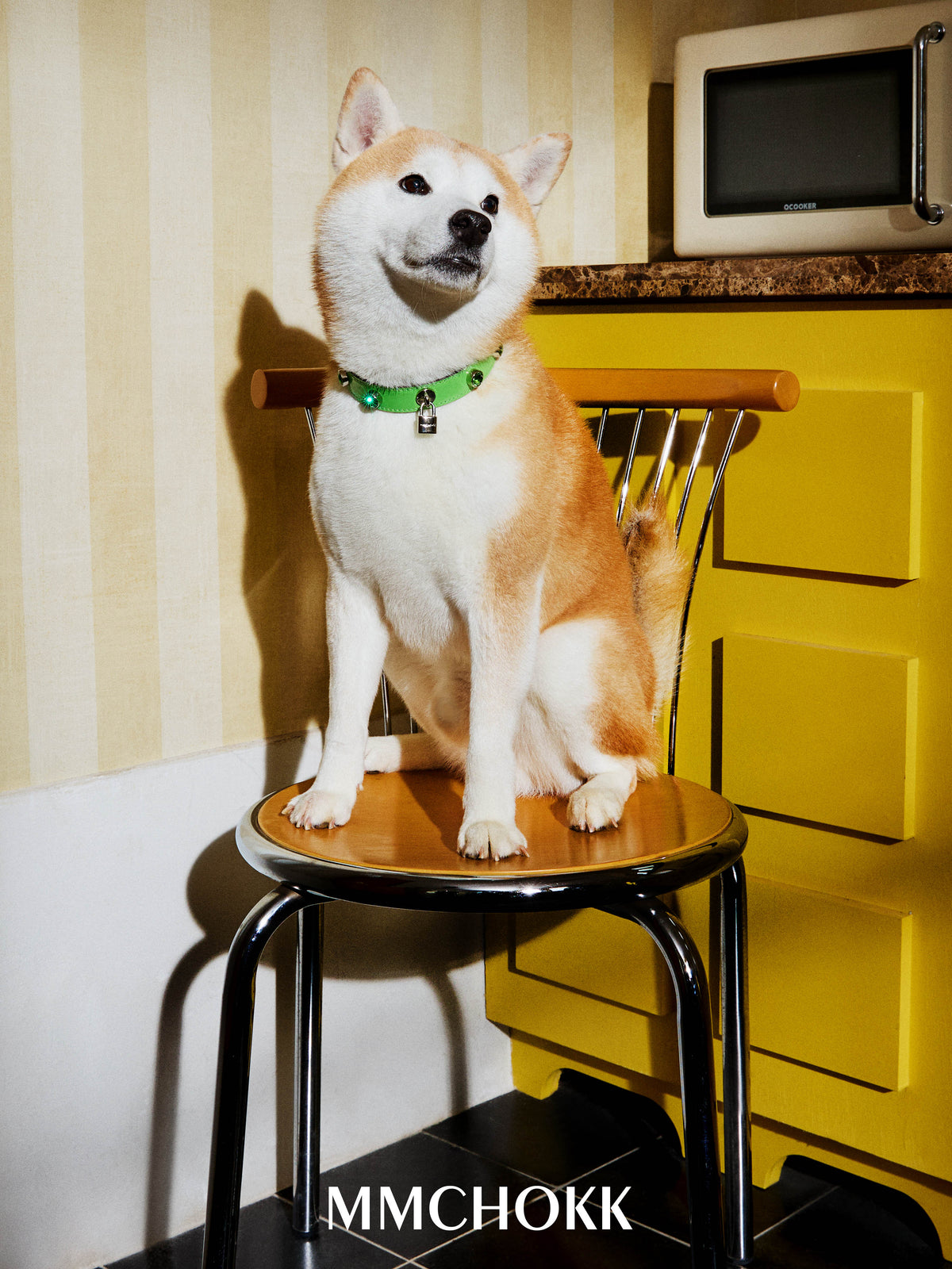 MMCHOKK-Bling Collar (2.0)-MMC0001B