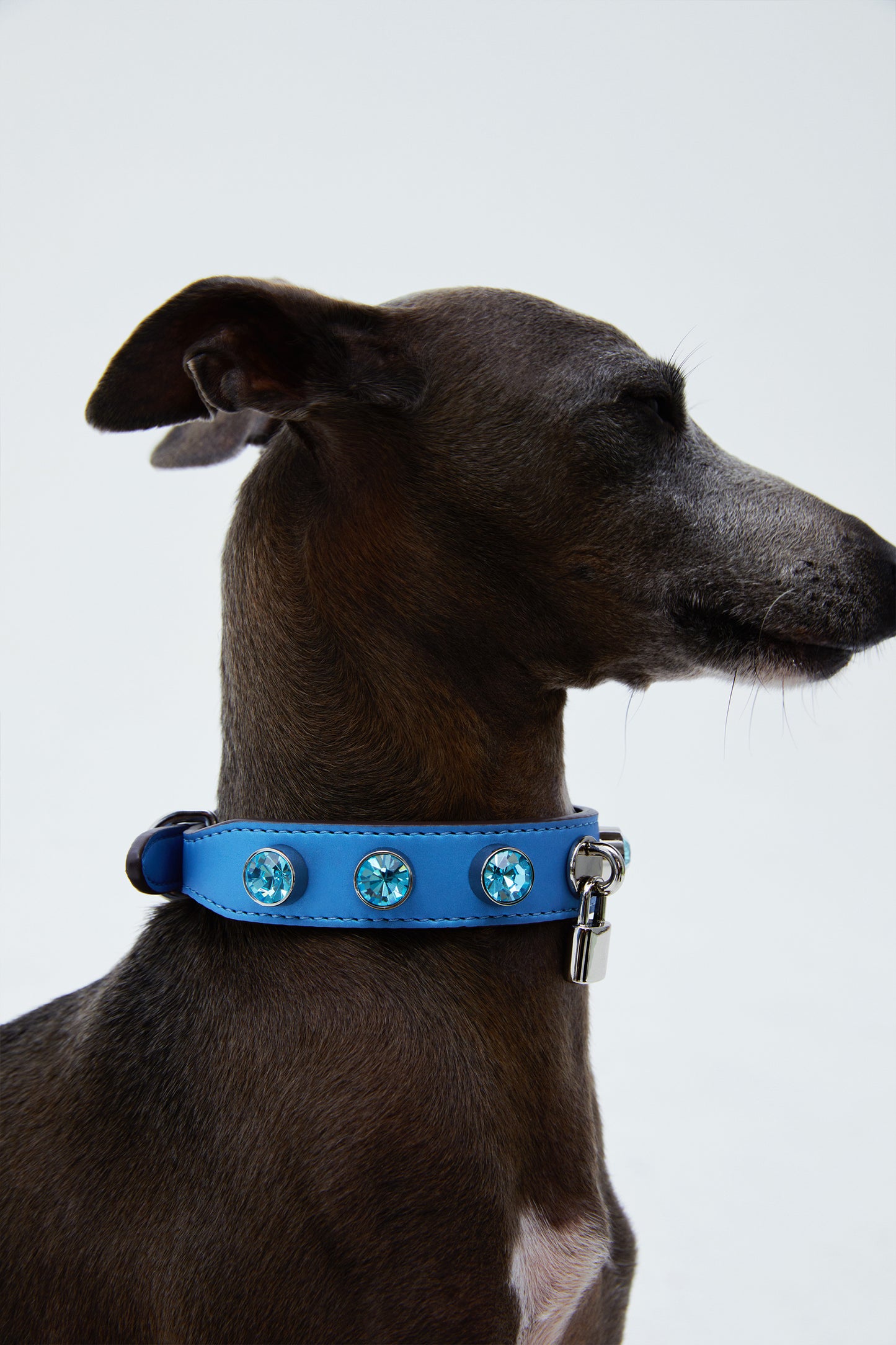 MMCHOKK-BLING COLLAR-MMC0001-S/M