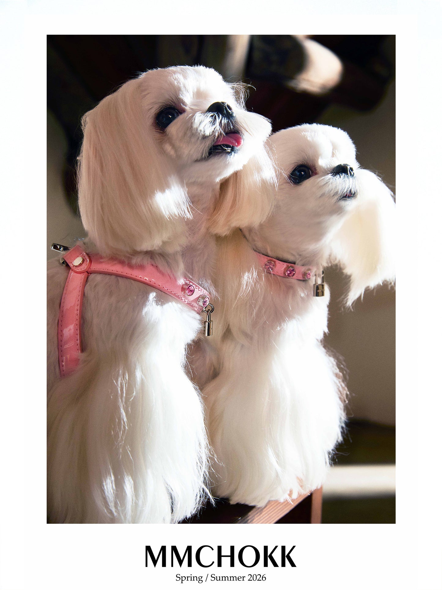 MMCHOKK-Bling Harness-MMC0062A