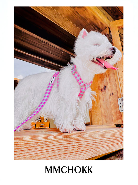 MMCHOKK-Boboli Gardens Harness-MMC0046A