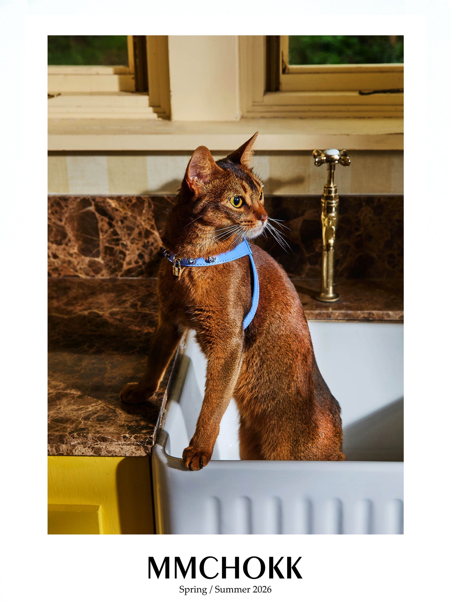 MMCHOKK-Bling Harness-MMC0062A