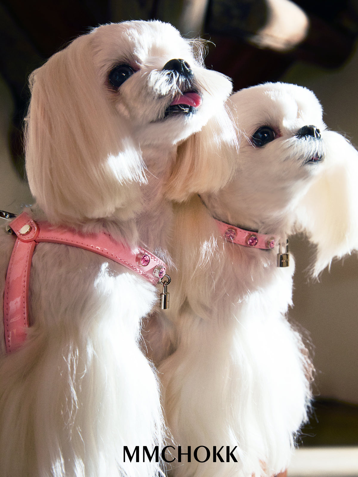 MMCHOKK-Bling Harness-MMC0062A