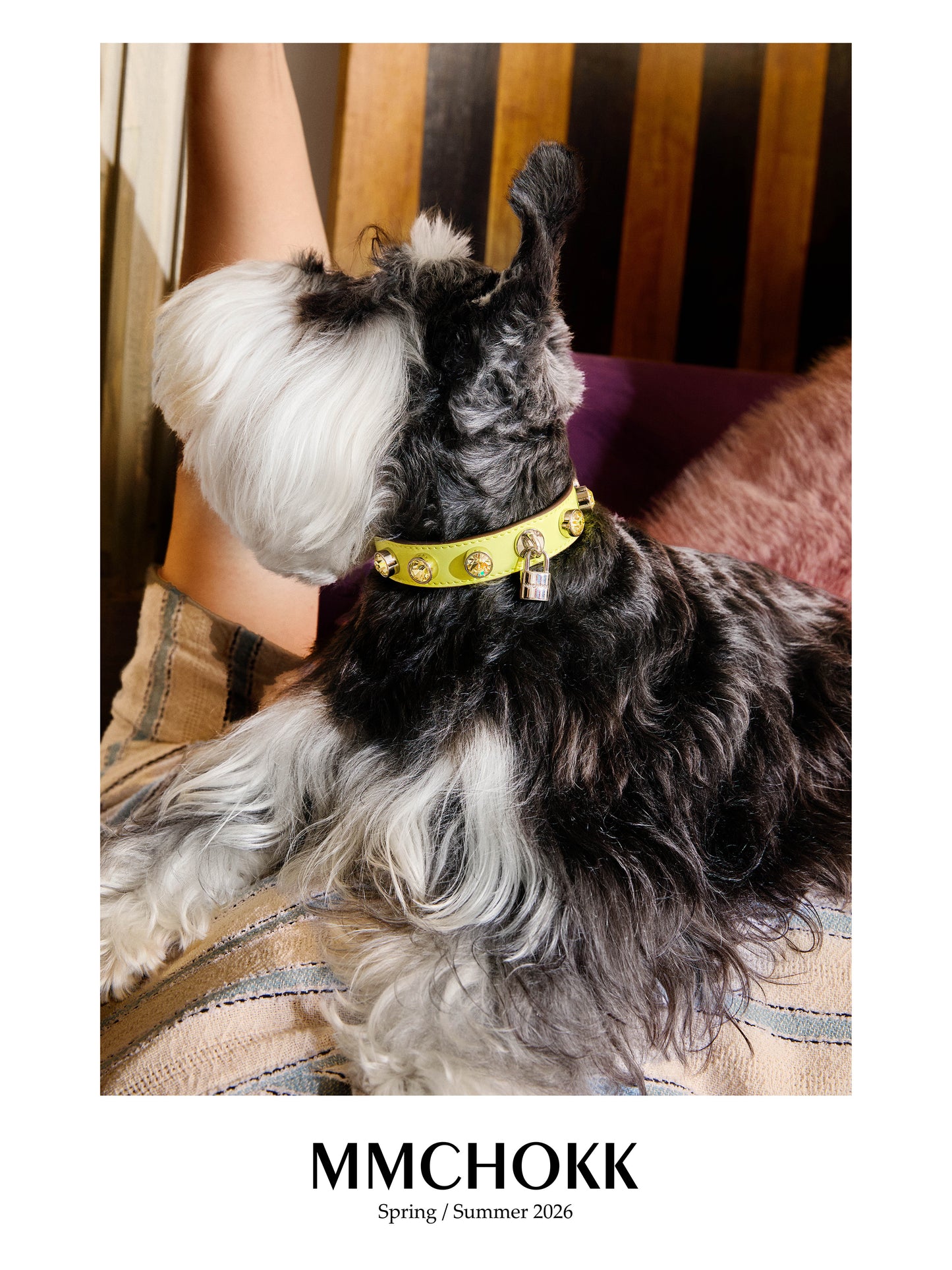 MMCHOKK-Bling Collar (2.0)-MMC0001B