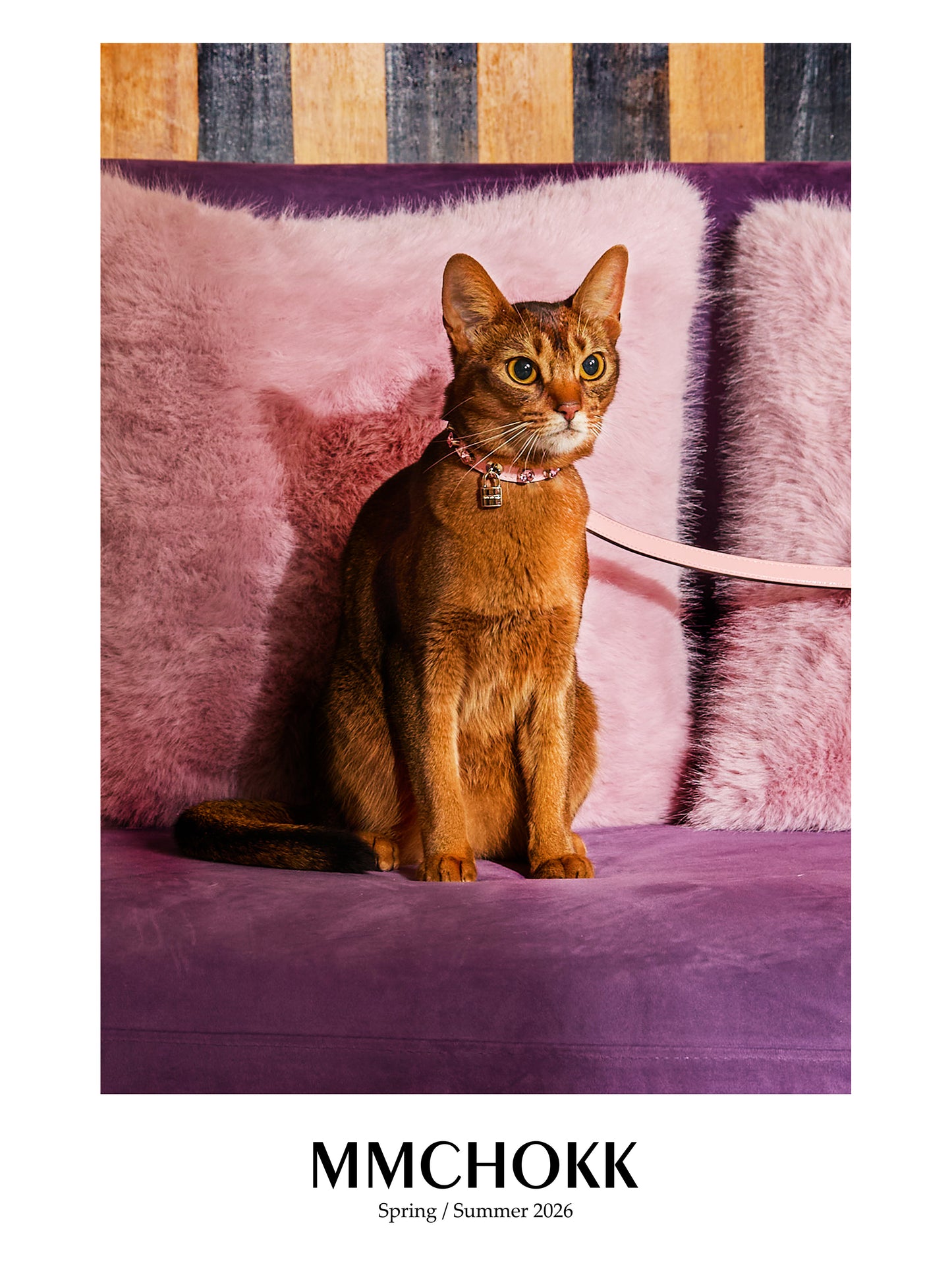 MMCHOKK-Bling Collar (2.0)-MMC0001B