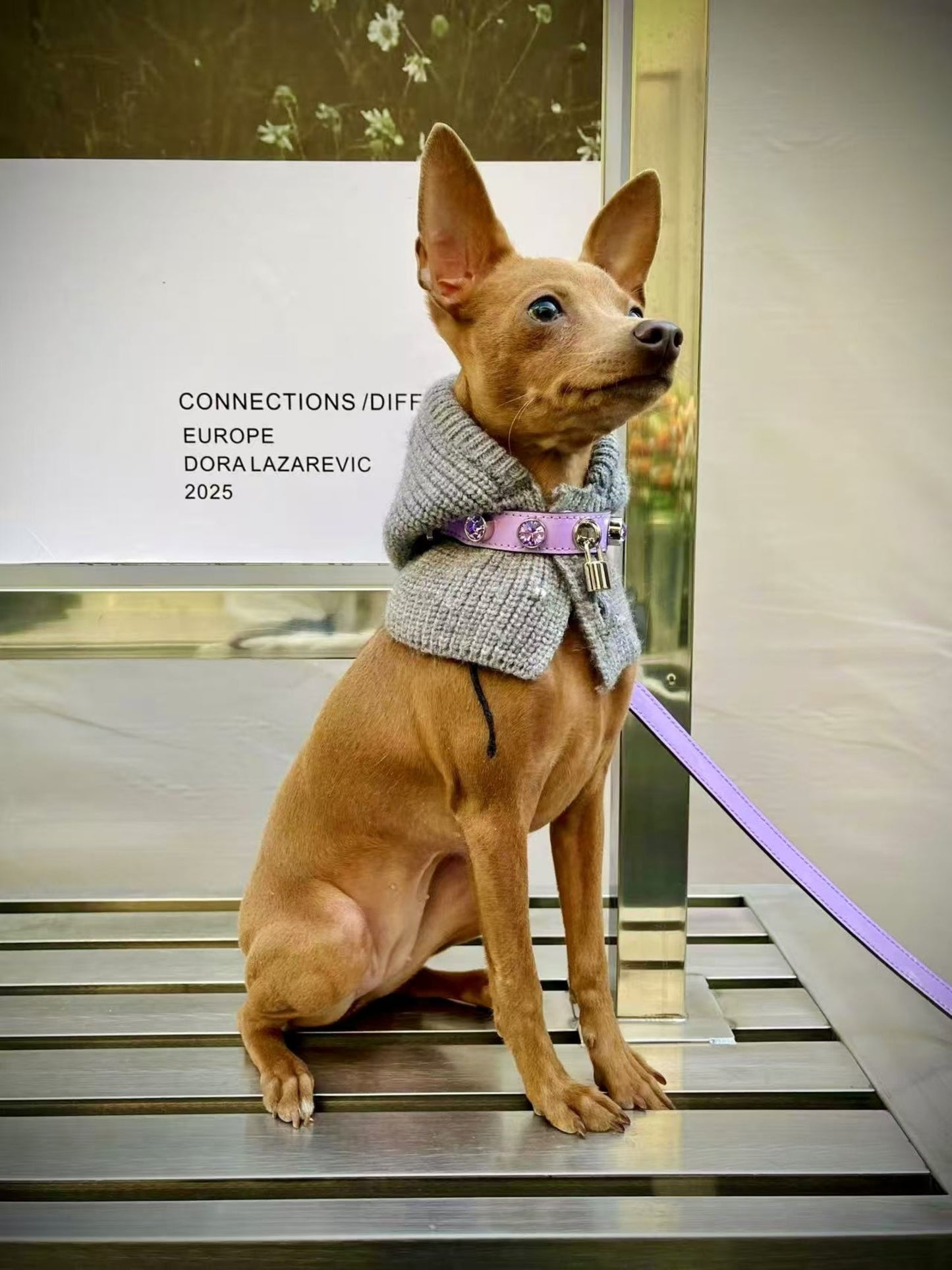 MMCHOKK-Bling Leash (2.0)-MMC0004B